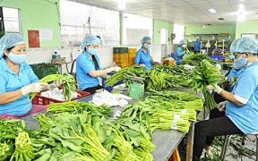 Nhà hàng tại Việt Trì cung cấp suất ăn công nghiệp