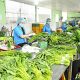 Nhà hàng tại Việt Trì cung cấp suất ăn công nghiệp