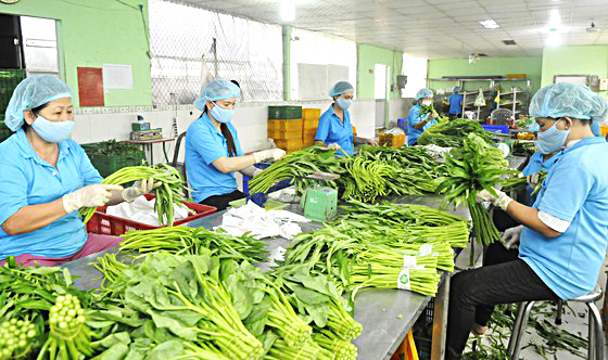 Nhà hàng tại Việt Trì cung cấp suất ăn công nghiệp